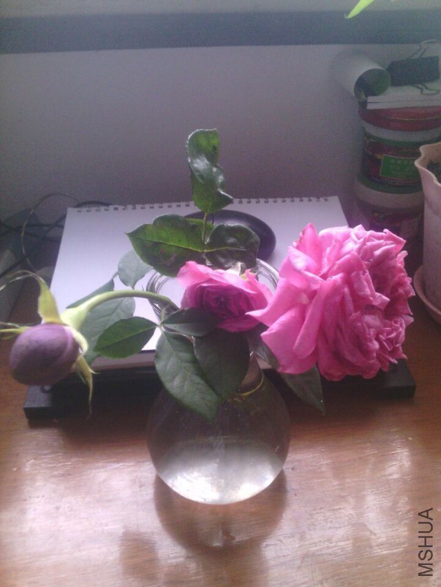 QQͼƬ20150420133631.jpg