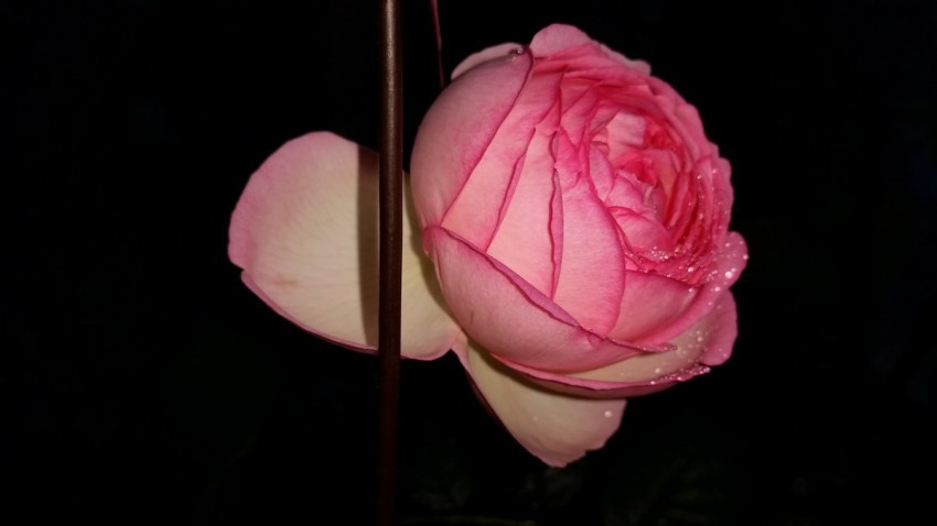 20150419_083359.jpg