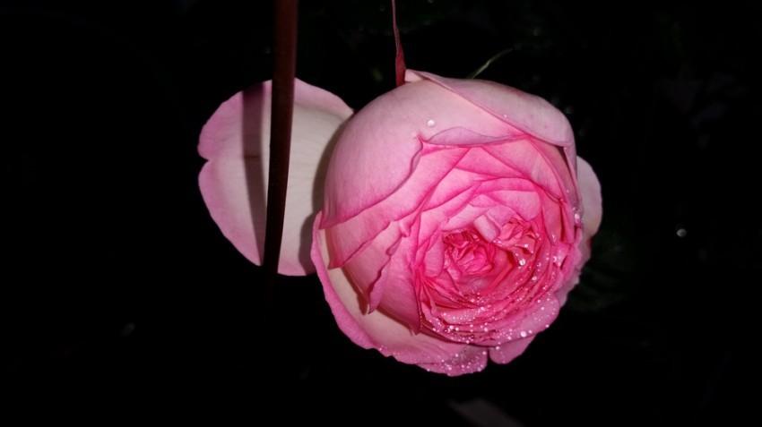 20150419_083347.jpg