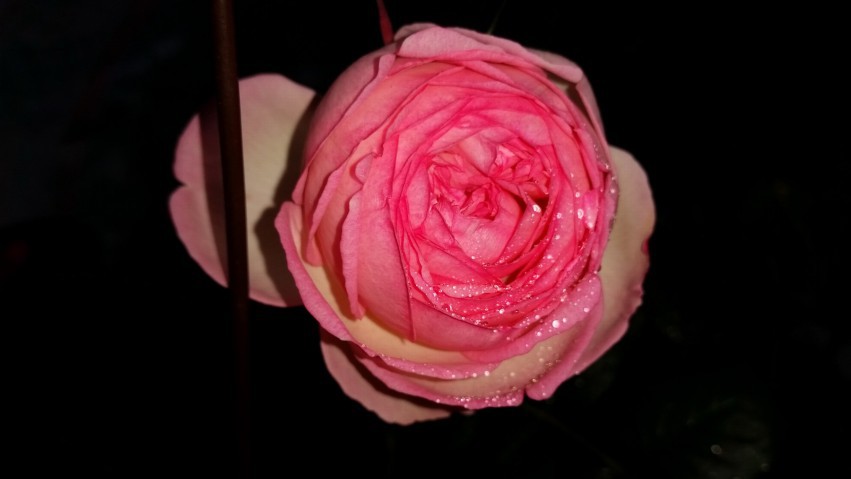 20150419_083328.jpg