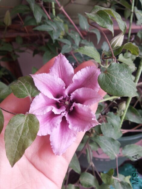 QQͼƬ20150420210628.jpg
