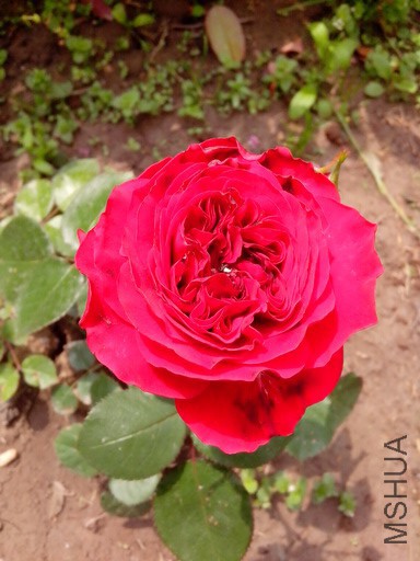 ��ɫ����棬��������ҹ���꣬��Ȼ��ͦ����Ȼ���������ϻ���������