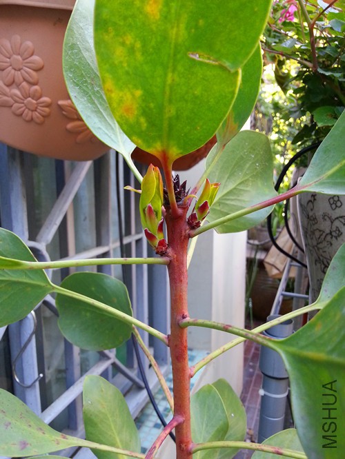 ������20150421.jpg