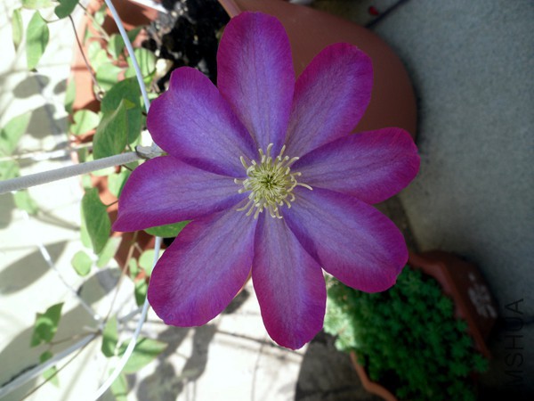 ������ .jpg