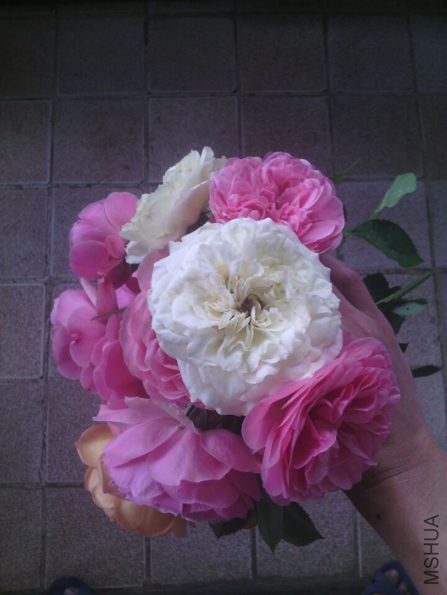 QQͼƬ20150421132941.jpg