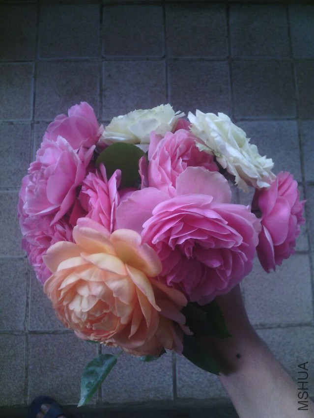 QQͼƬ20150421132936.jpg