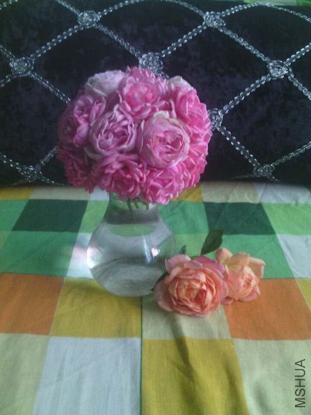 QQͼƬ20150420174857.jpg