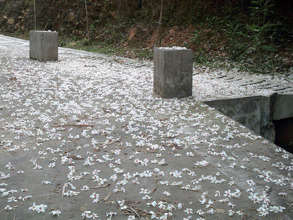 DSCF0181.JPG
