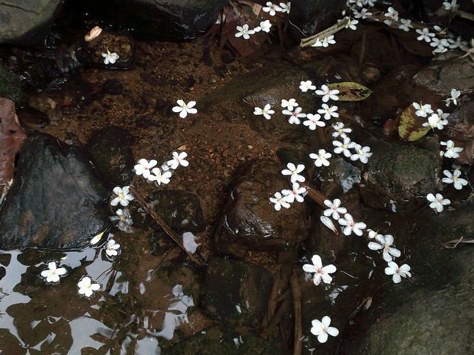 DSCF0257.JPG