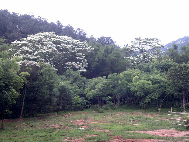 DSCF0119.JPG