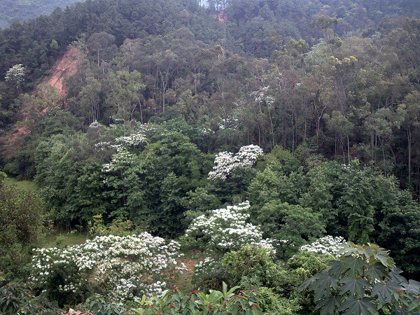 DSCF0318.JPG