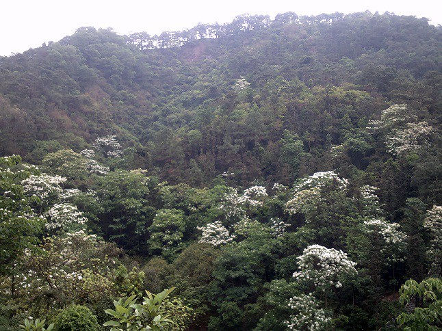 DSCF0323.JPG