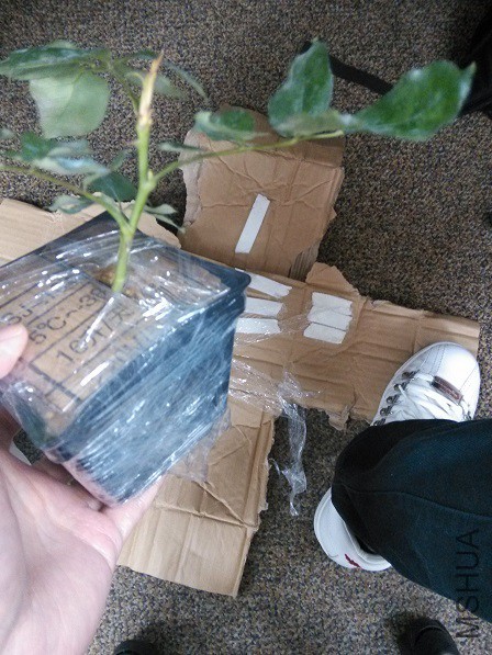ֽ��ʪˮ��ס���������