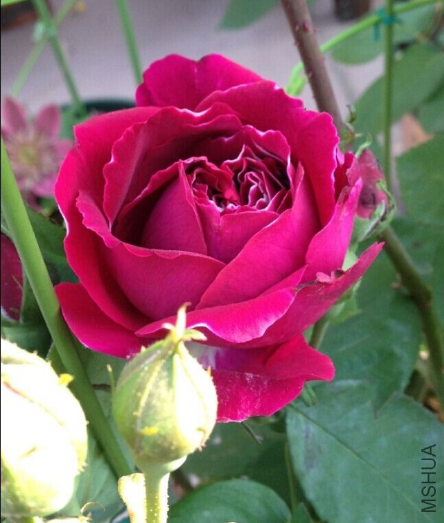 QQͼƬ20150422111622.jpg
