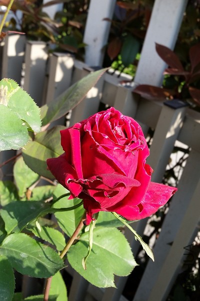 20150422_080718.jpg