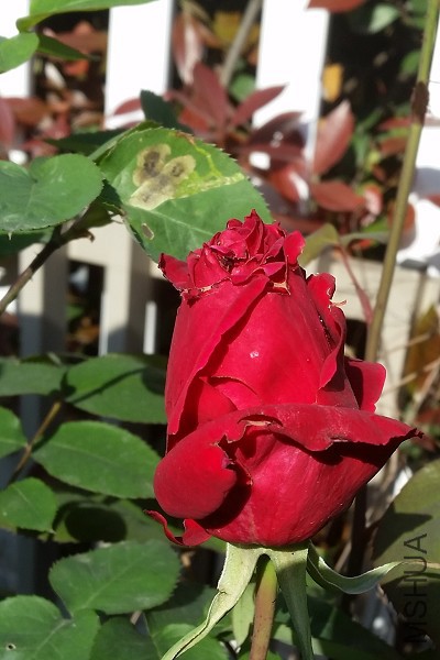 20150421_075542.jpg