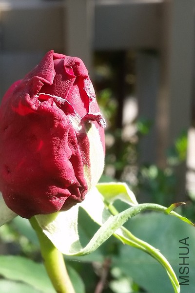 20150421_075609.jpg