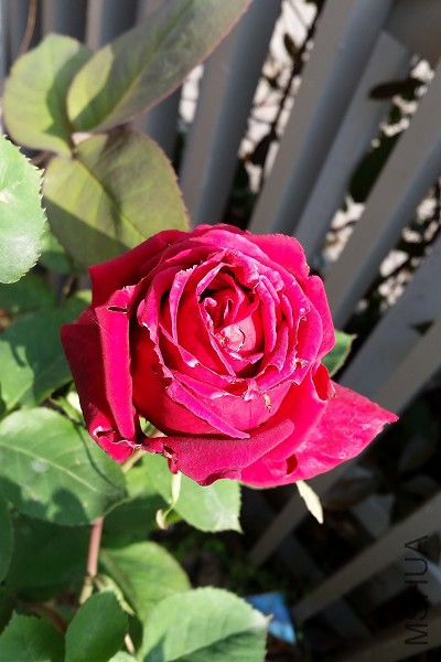 20150422_080657.jpg