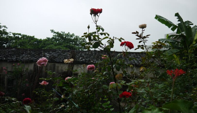 QQͼƬ20141225113800.jpg