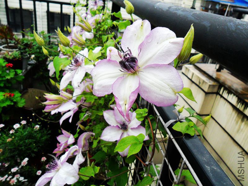 ���а� ��56456.jpg