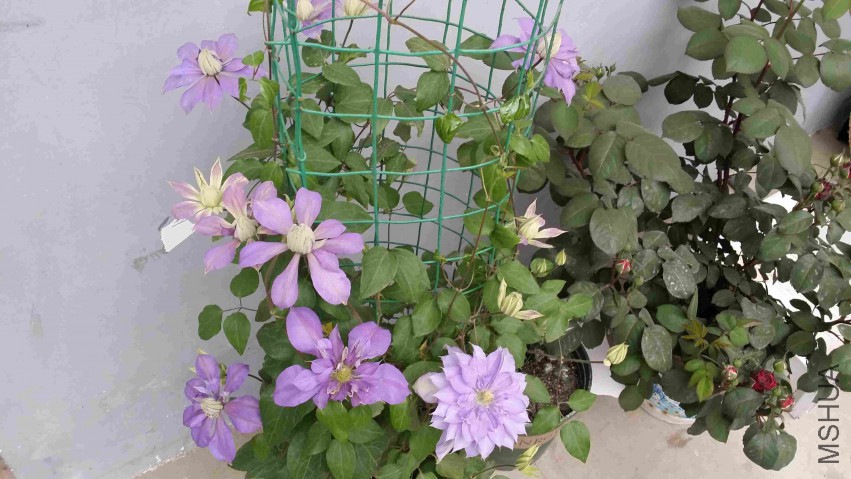 20150419_092832.jpg