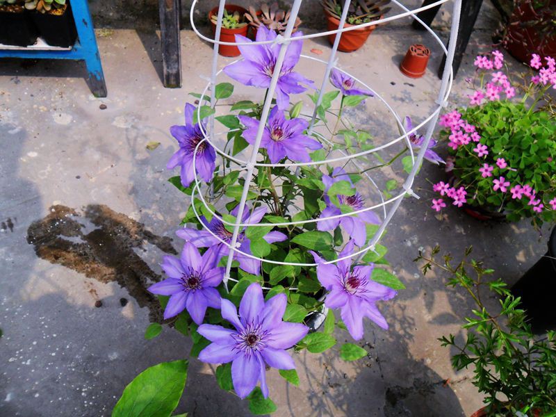 ������� -0��.jpg