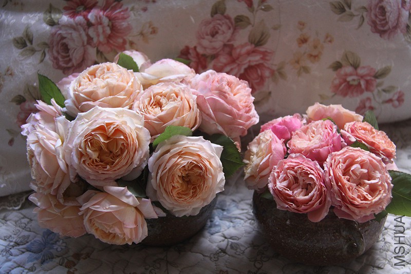 ��Ƭ 041_����_����.jpg