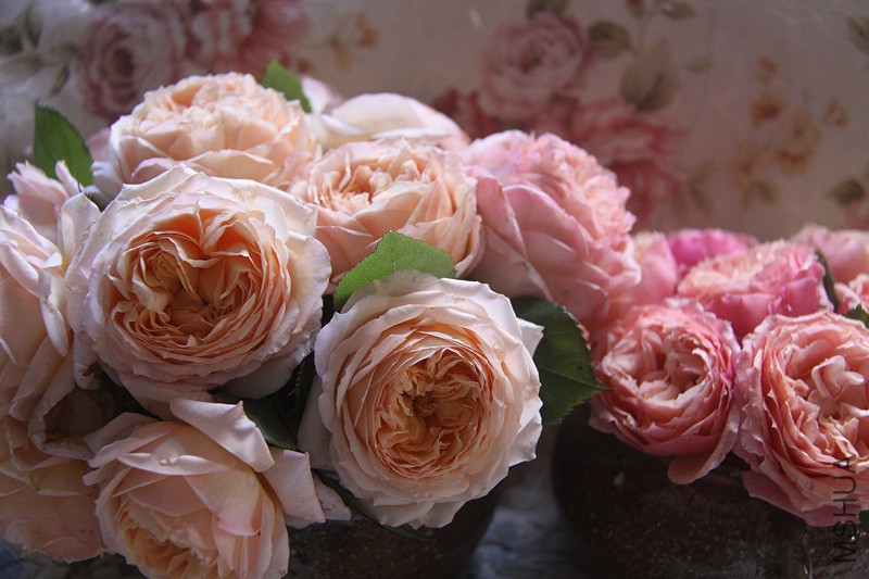 ��Ƭ 043_����_����.jpg