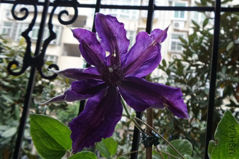 120150418_075552.jpg