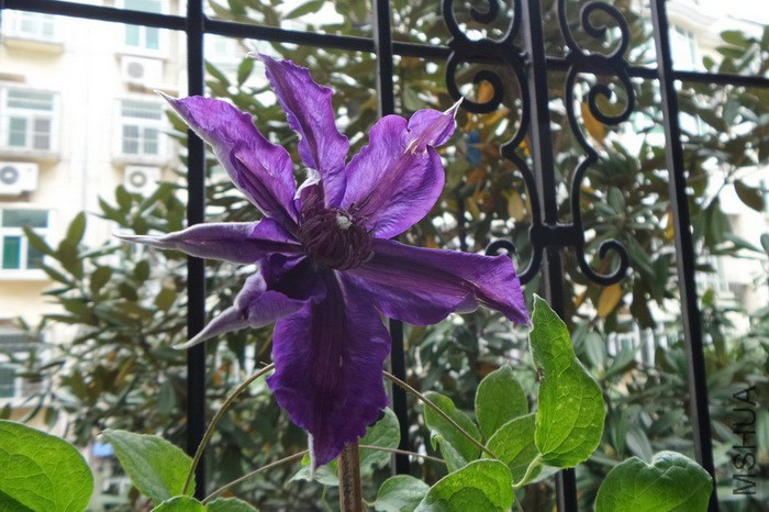 120150418_075618.jpg