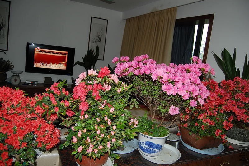 DSC_00340034.JPG