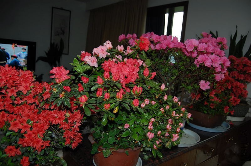 DSC_01040104.JPG