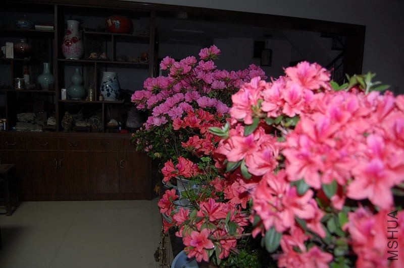 DSC_00470047.JPG