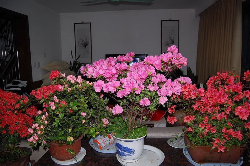 DSC_00330033.JPG