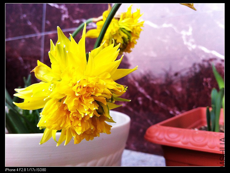 IMG_0570 - ����.jpg