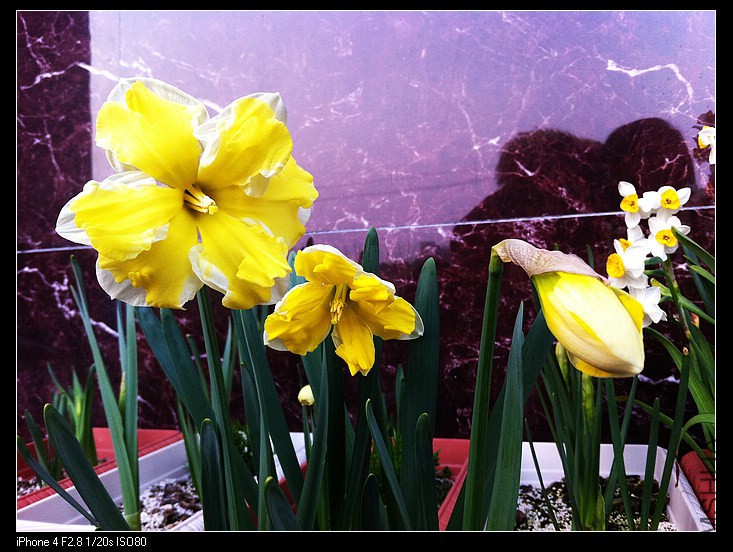 IMG_0571 - ����.jpg