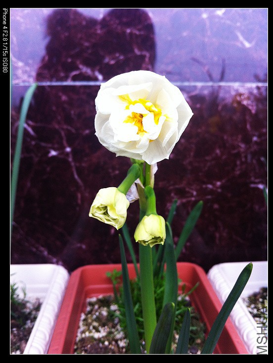 IMG_0581 (2) - ����.jpg