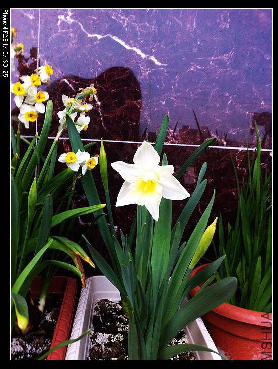 IMG_0586 - ����.jpg