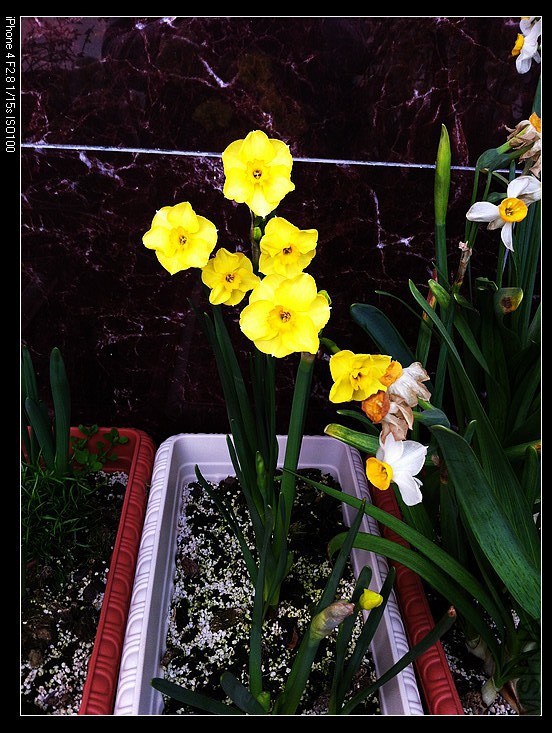 IMG_0587 - ����.jpg