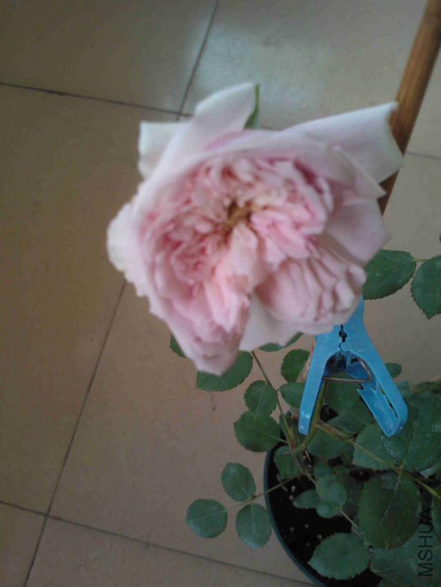 21������һ��Ҳ���ˣ����û�п���