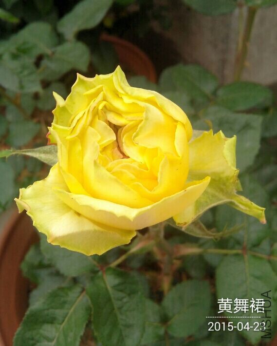 QQͼƬ20150423095045.jpg