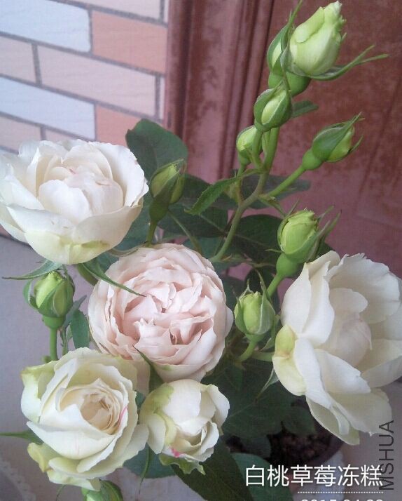 QQͼƬ20150423095133.jpg