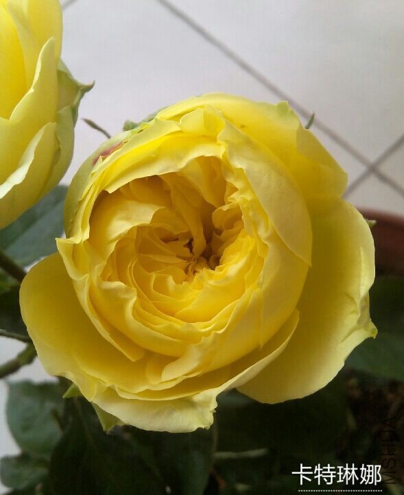 QQͼƬ20150423095851.jpg
