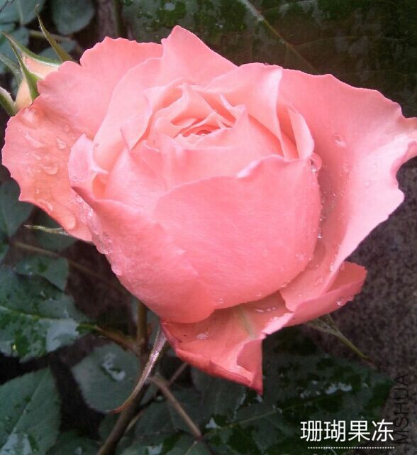 QQͼƬ20150423100120.jpg