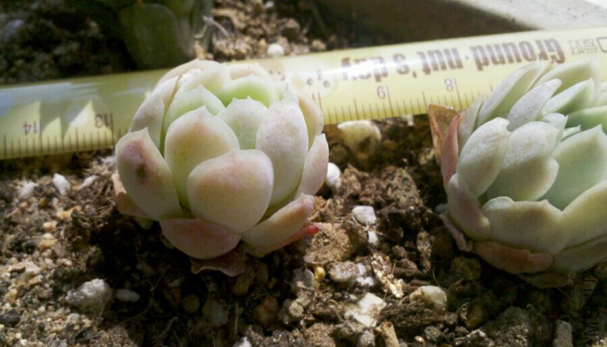 QQͼƬ20150423105447.jpg