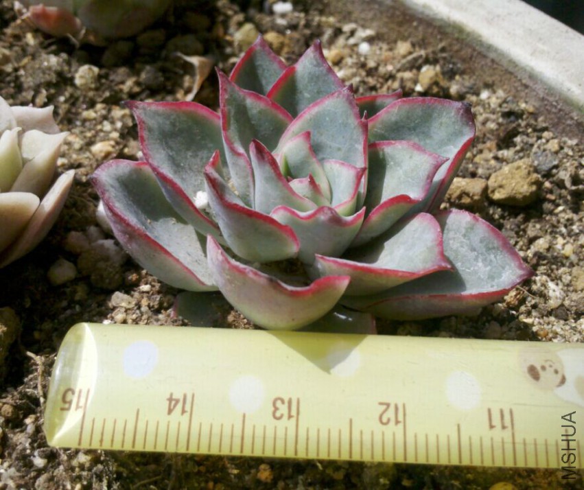 QQͼƬ20150423105529.jpg