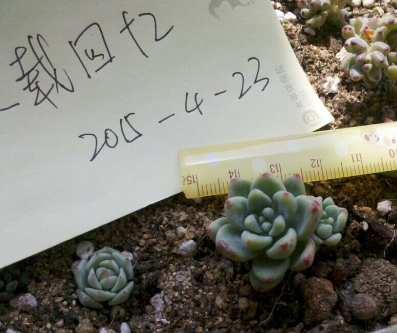 QQͼƬ20150423105502.jpg
