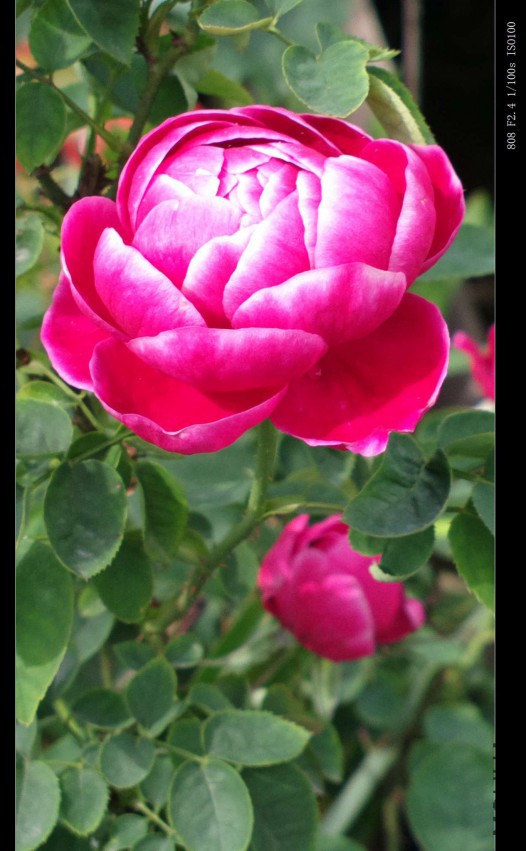 2015-04-22-0478.jpg