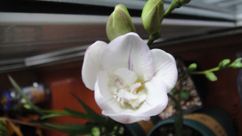 DSC09361.JPG