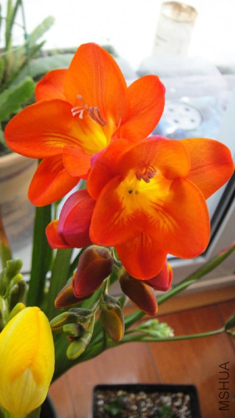 DSC09377.JPG